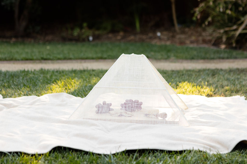 Handmade Collapsible Woven Food Tent | Cream | Mixed Size