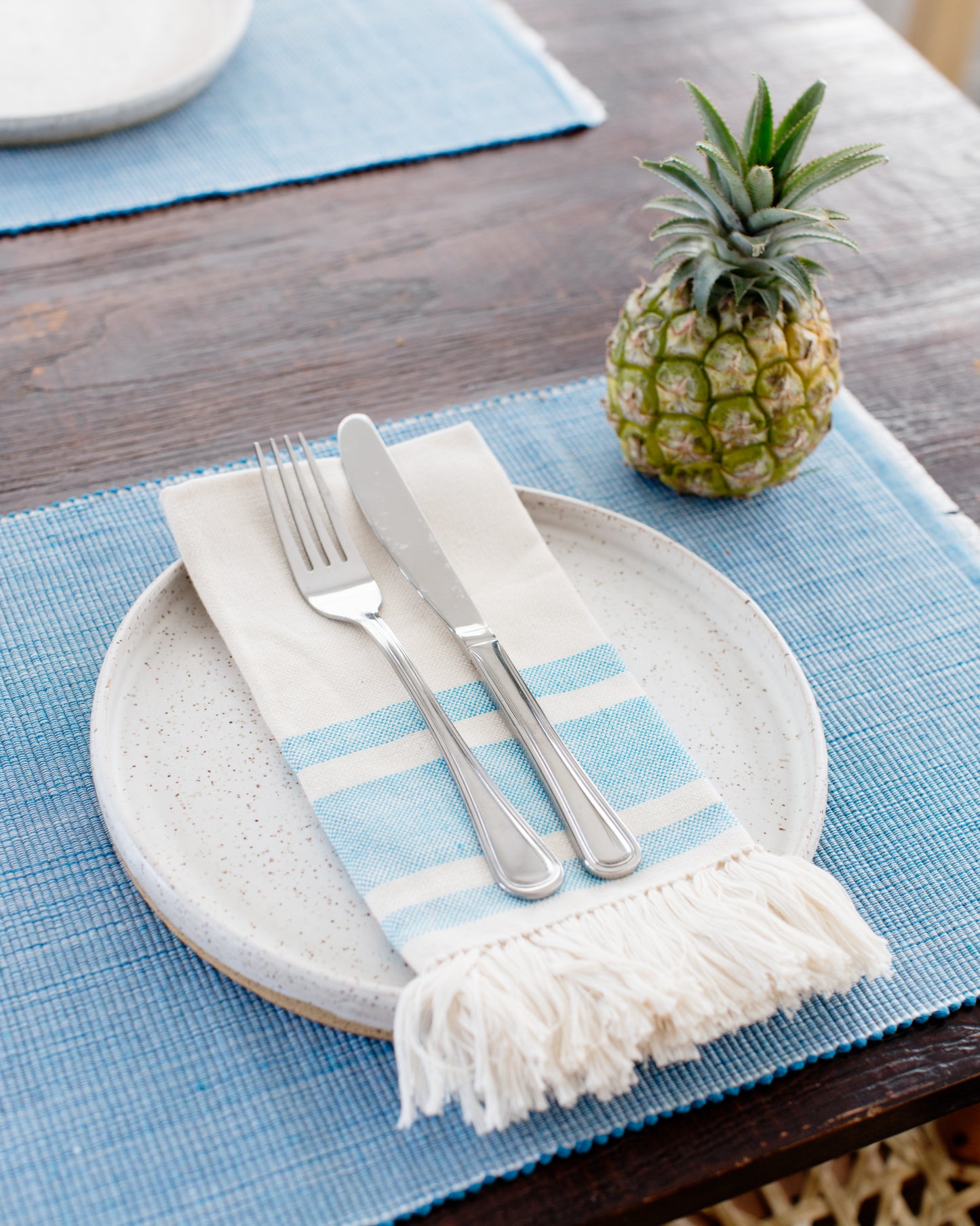 Dining Napkins | Blue