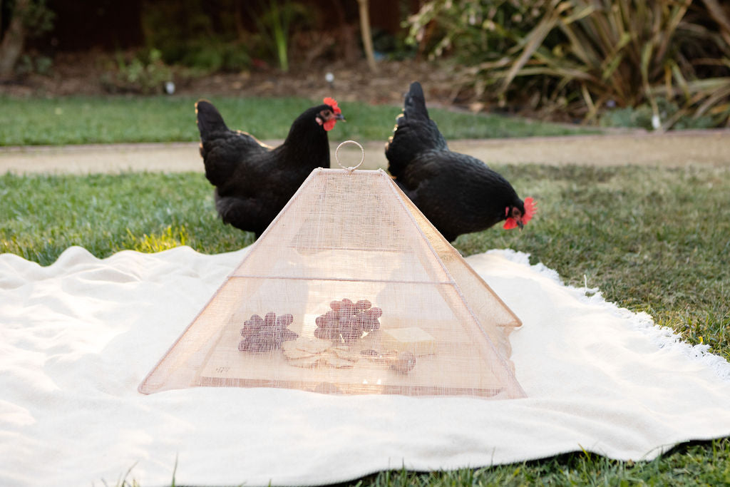 Handmade Collapsible Woven Food Tent | Natural Rose